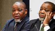 Gwede Mantashe says ANC can't employ everyone, calls unemployment a 'global crisis'