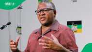 Fikile Mbalula says ANC won't protect ministers guilty of wrongdoing anymore, SA doesn't believe him