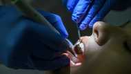 'What have they done?' Flip side of Turkey's dental boom