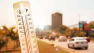 Gauteng and KwaZulu-Natal residents warned of heatwave, leaving Mzansi concerned