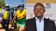 ANC dead set on winning back lost voters in Polokwane ahead of local elections