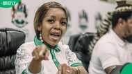 Jacinta Ngobese-Zuma apologises to Limpopo over past remarks during March and March protest