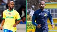 Mamelodi Sundowns are a wounded animal, warns defender Mosa Lebusa ahead of TS Galaxy match