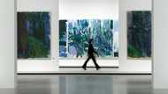 Vuitton accused over Joan Mitchell paintings in handbag ads