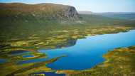 Faster growth may help bacteria remove lake plastic waste: study