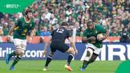 Ex-England stars back Ox Nché for World Rugby Player of the Year Award