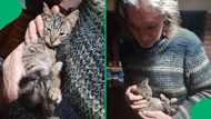 "Nope, you cannot do that": KZN kitten gets saved from almost getting eaten in roadside rescue