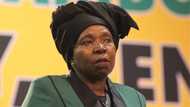 Nkosazana Dlamini-Zuma's potential ANC presidency bid fails to inspire Mzansi