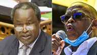 Tito Mboweni claps back at Ace Magashule's post apartheid claims, requests ANC to differentiate between apartheid system and whiteness