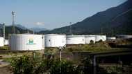 Brazil's Petrobras scraps international price peg
