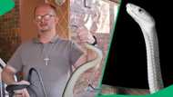 KZN snake rescuer removes the biggest black mamba of his career in video