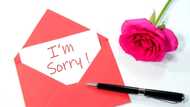 100+ genuine apology messages for him and her: Sorry messages