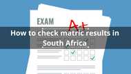 Check matric results quickly: A 2025 guide for first-time users