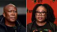 EFF wants US ambassador to SA removed over Russia allegations, citizens agree