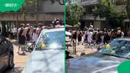 'Greek' University of Pretoria res boys pull stunts on fake horse, amuses SA: "My kind of people"