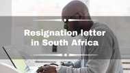 Resignation letter examples and templates in South Africa: guide on how to write it