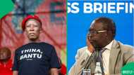 Julius Malema is not confident that the new budget would tackle unemployment in SA