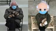 Crochet Artist Turns Bernie Sanders Meme into a Doll, Sells for over R600k