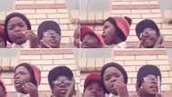 "LOL she's rude": Cute girl gives classmate a scolding after he interrupts her video