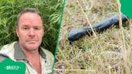 "Imagine the pain": Snake expert recounts black spitting cobra spitting venom in man's eyes