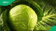 R49.99 cabbage at Cape Town Spar sparks outrage over food prices
