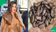 Priyanka Chopra-Jonas goes viral for embracing Mopane worms in Zimbabwe