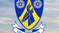 List of schools in Hartbeespoort and their contact details (2024)