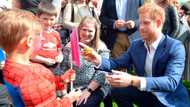 Prince Harry pays surprise visit to children's charity, joins cute garden party