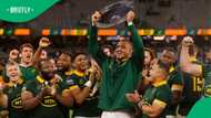 Springboks star departs South African club for Europe