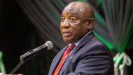 Farmgate scandal: National Prosecuting Authority says there's no case against President Cyril Ramaphosa yet