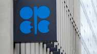 OPEC+ expected to slash oil output