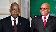 Zuma vs Billy Downer: International Association of Prosecutors rally behind Downer amid private prosecution