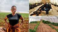 Halala: Woman, 29, with no background in agriculture starts farming