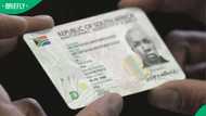 “Not changing my green book”: Mzansi react as Home Affairs launches new online Smart ID tool