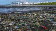 Oceans saved us, now we can return the favour