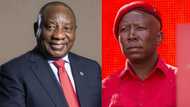 Malema wants vaccine rollout improved before Ramaphosa imposes harsher lockdown