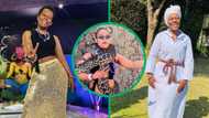 Gogo Maweni, Lerato Kganyago and others react to video of Zodwa Wabantu's new pet: "Snake gang"