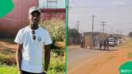 "South Africa's a movie": Kasi gents carrying a shack in the township leave SA in stitches