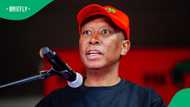 Julius Malema defends Winnie Mandela comparison, clarifies remarks were about Parliament committee