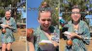 Zulu man proudly shows off beautiful wifey buying kasi food in heartwarming video, SA shows the makoti love