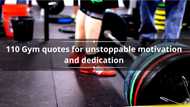 110 Gym quotes for unstoppable motivation and dedication