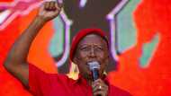 EFF Leader Julius Malema slams President Cyril Ramaphasa and IEC in recent media briefing