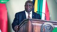 Cyril Ramaphosa files application to review Phala Phala report, says panel misunderstood its mandate