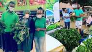 Sprout forth: Farmer sells fresh produce to chain store, Mzansi praises his business savvy