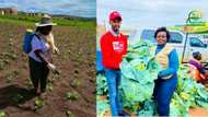 Female farmer sets goals, sells her enormous cabbage and spinach at Spar and Boxer stores