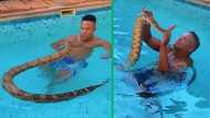 Daring man swims with massive pet snake, eye-popping TikTok video goes viral