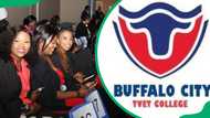 Buffalo City College application, useful documents, courses and fees