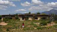 Eco warriors: S.Africa school puts green issues at heart of teaching