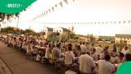 Orania shares how trees planted by its pioneers now shade the town