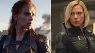 Scarlett Johansson is suing Disney over the release of 'Black Widow'